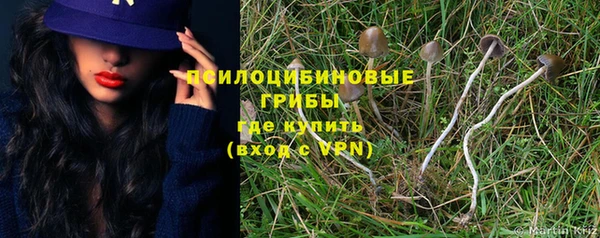 mix Вяземский