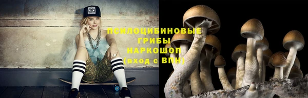 mix Вяземский