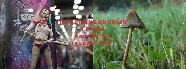 mix Вяземский