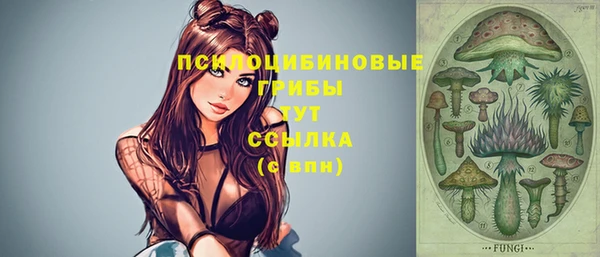 МДПВ Вязьма