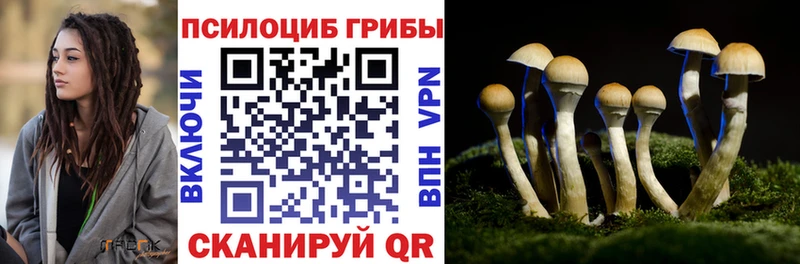мориарти наркотические препараты Дзержинский Галлюциногенные грибы прущие грибы купить